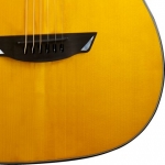 Cort akusztikus gitár, Frank Gambale  Signature