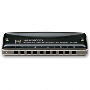 Suzuki Hammond G
